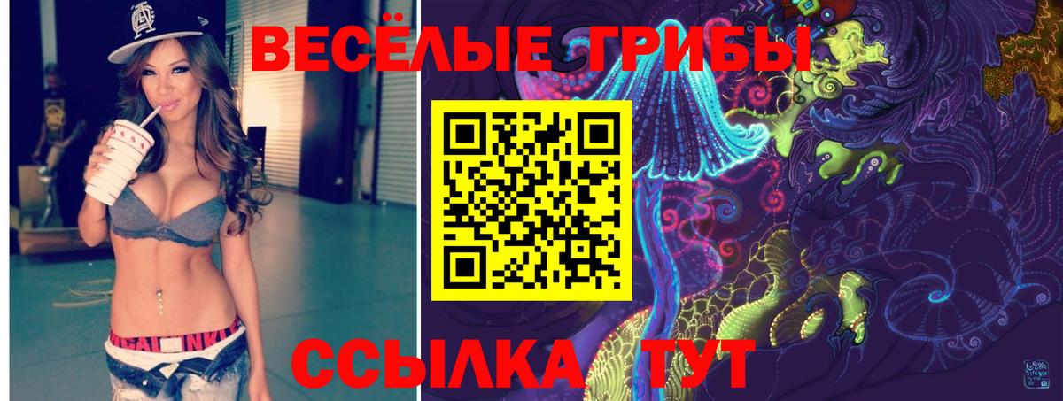 Галлюциногенные грибы мицелий  Вход с VPN  Ртищево  Галлюциногенные грибы прущие грибы 