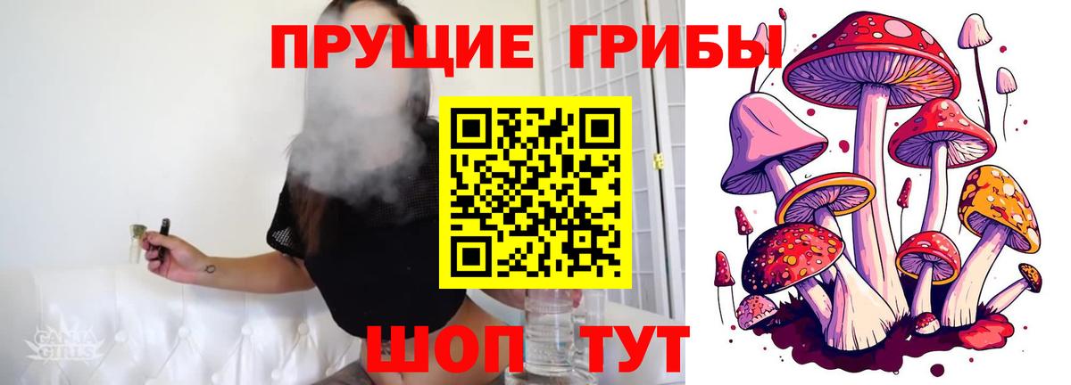 Галлюциногенные грибы Psilocybine cubensis Ртищево
