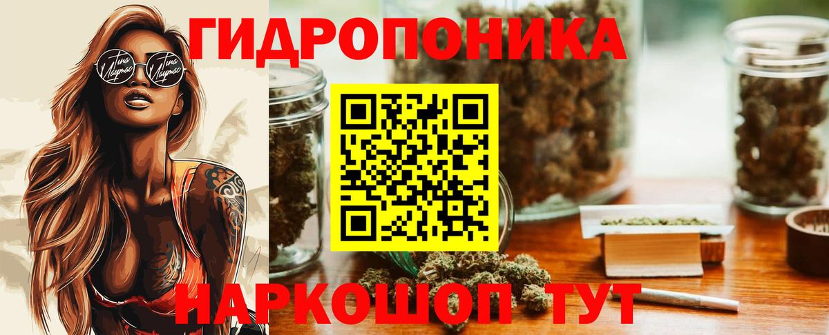Бошки Шишки семена Ртищево